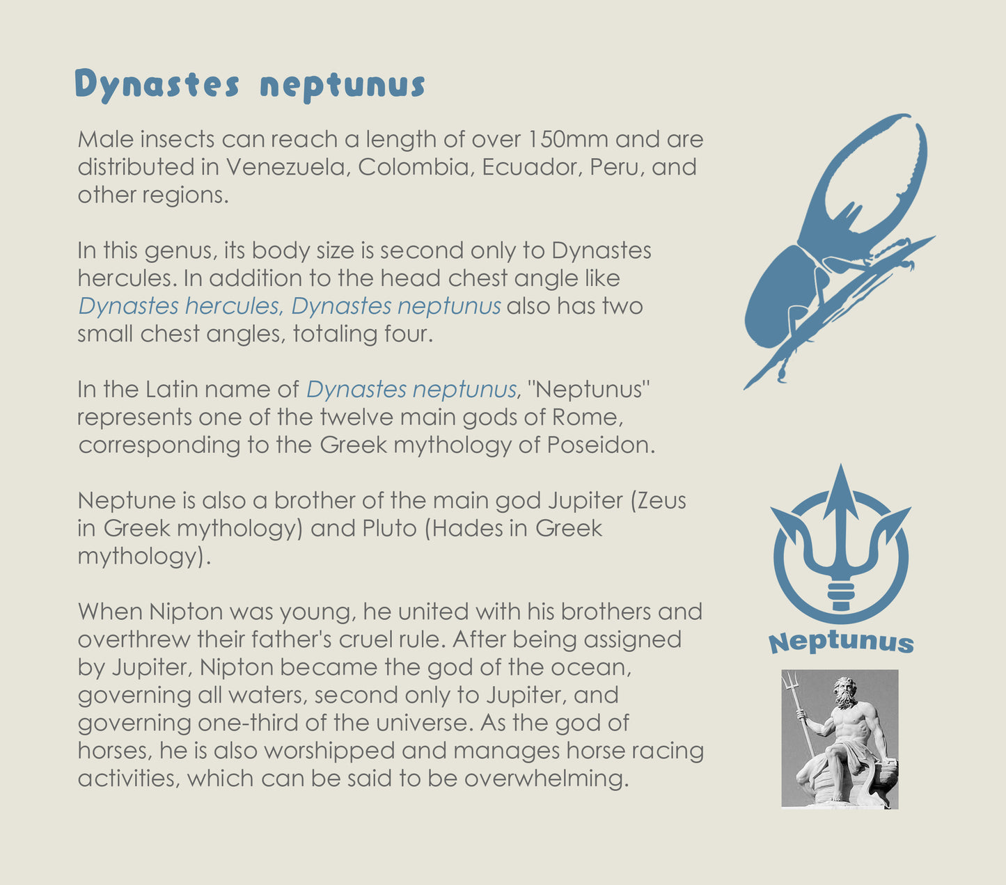 Sweater "Beetles" Series