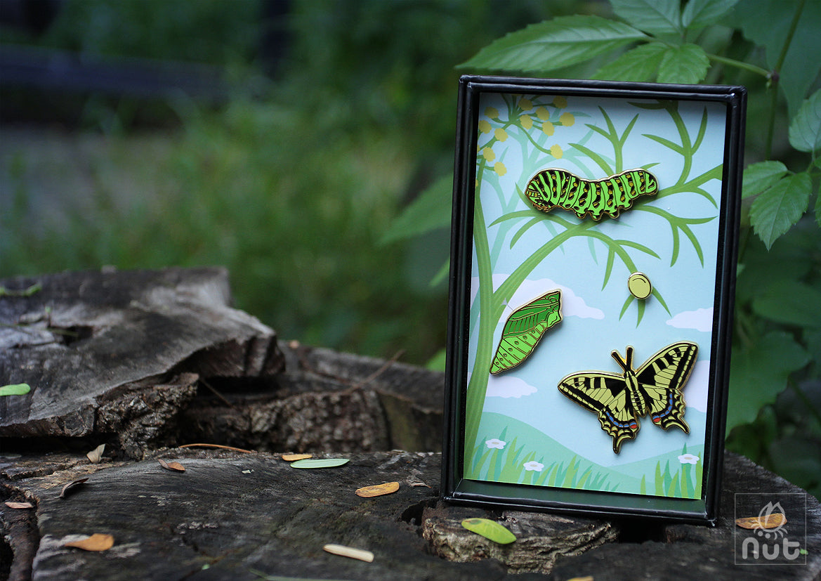 Insect Badge Papilio machaon “Golden butterfly”