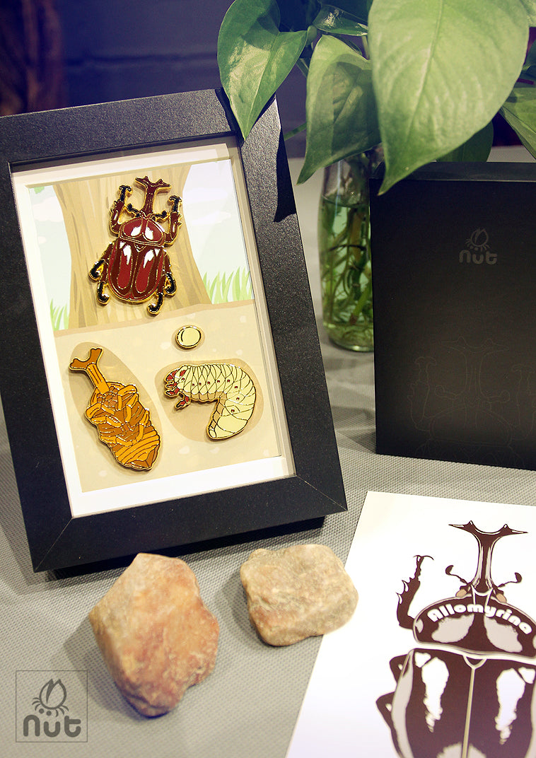 Insect Badge Allomyrina dichotoma “rhinoceros beetles”