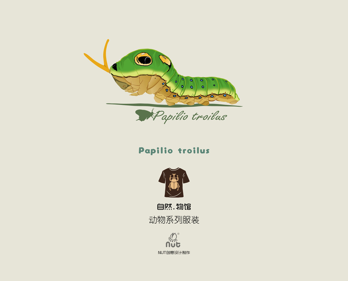T-shirt Papilio troilus