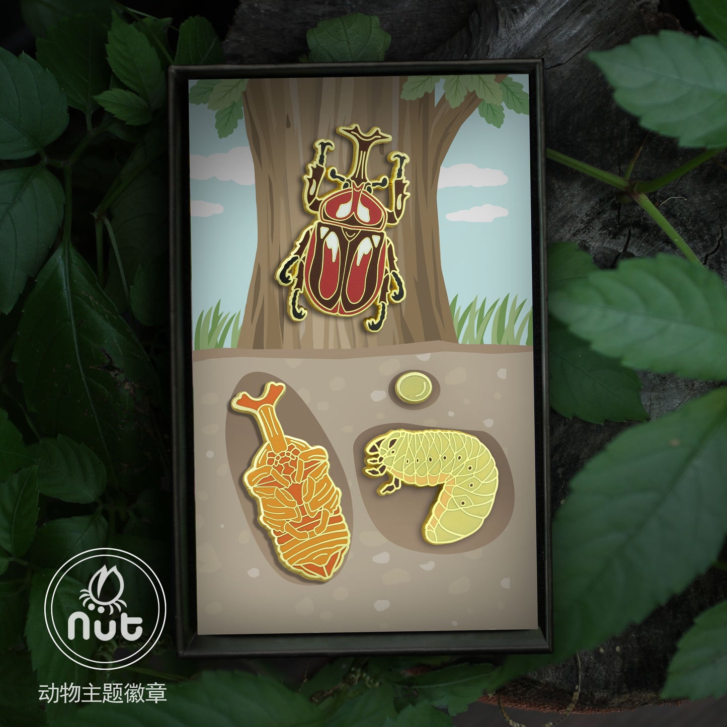 Insect Badge Allomyrina dichotoma “rhinoceros beetles”