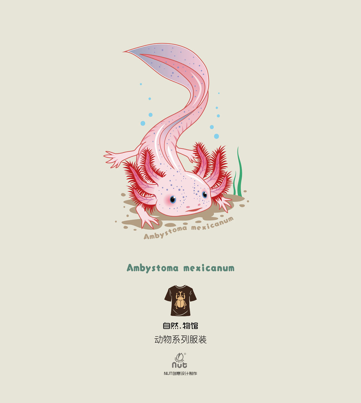 T-shirt Ambystoma mexicanum
