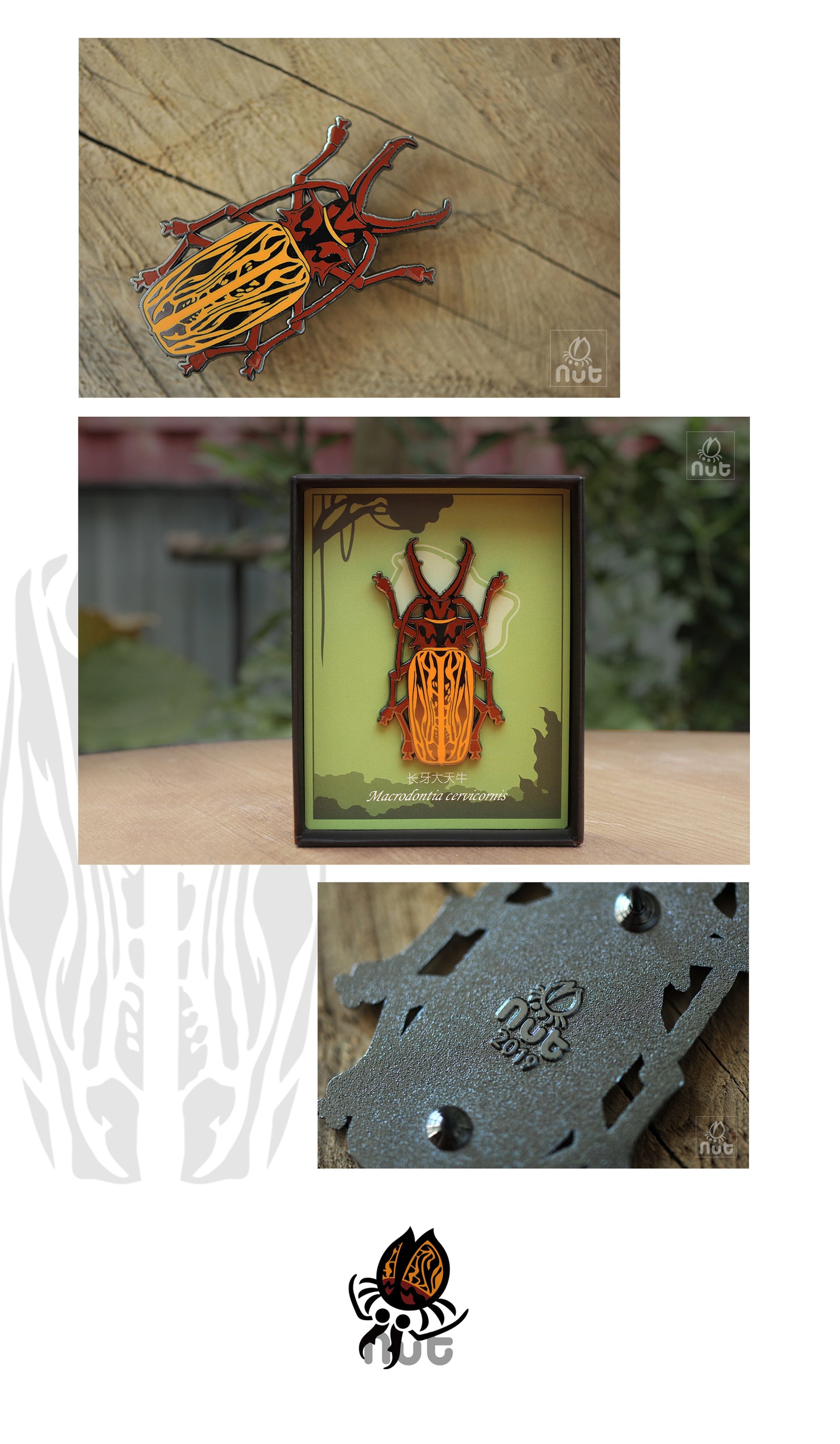 Insect Badge Macrodontia cervicornis “Long-toothed Longhorn”