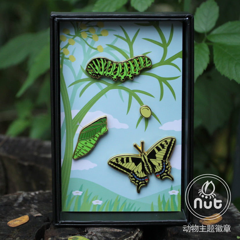 Insect Badge Papilio machaon “Golden butterfly”