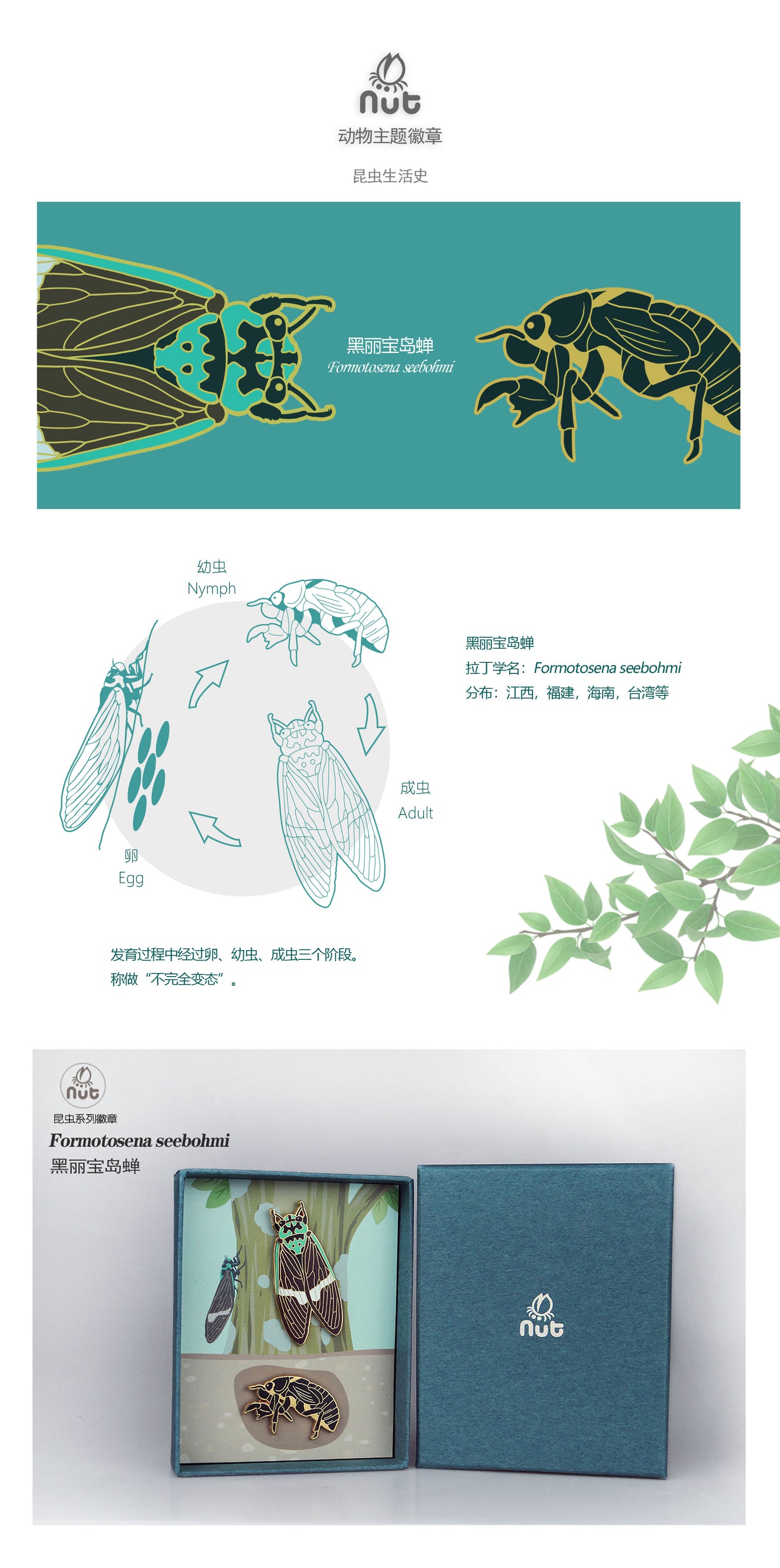 Insect Badge Formotosena seebohmi