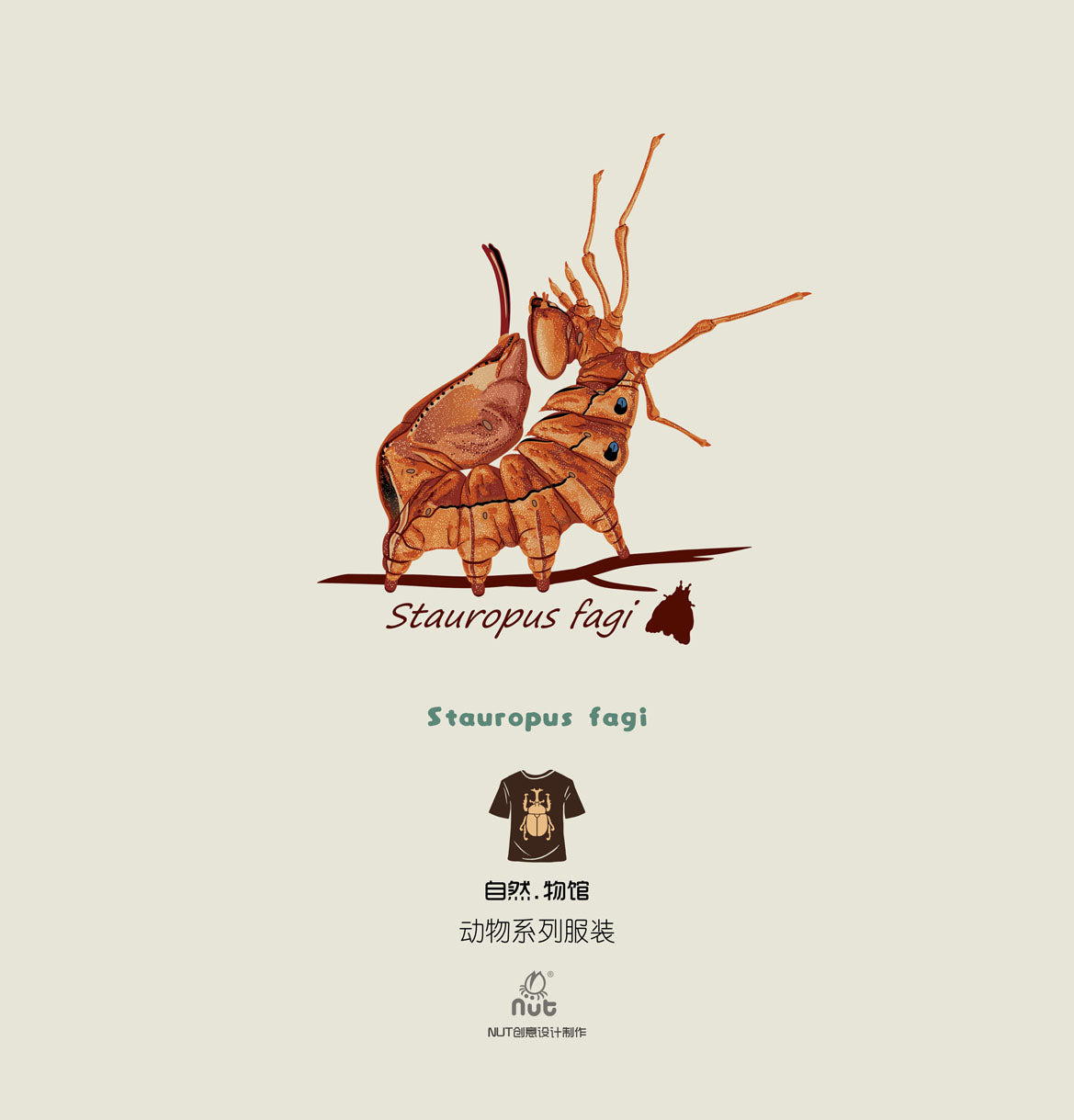 T-shirt Stauropus fagi