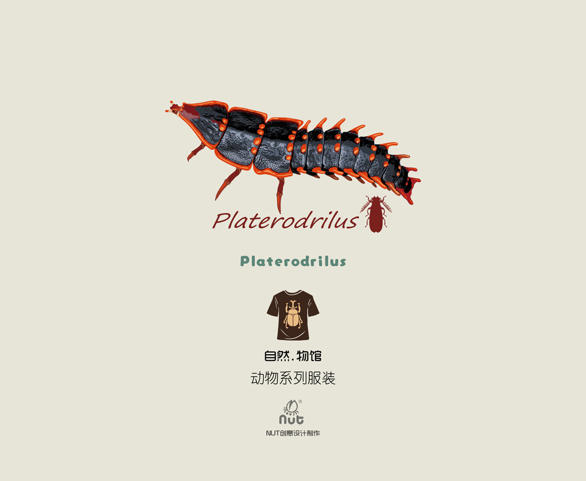 T-shirt Platerodrilus paradoxus