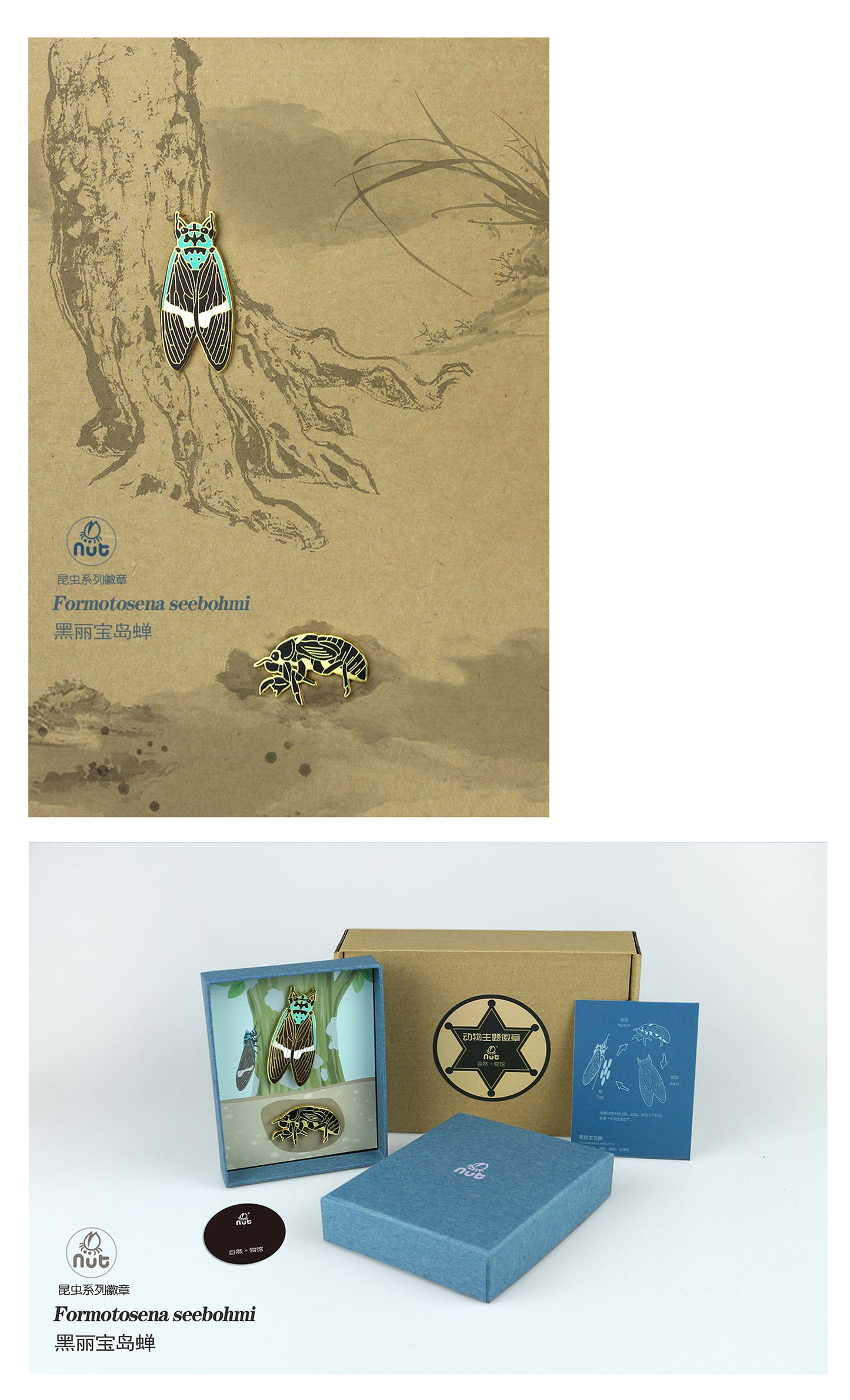 Insect Badge Formotosena seebohmi