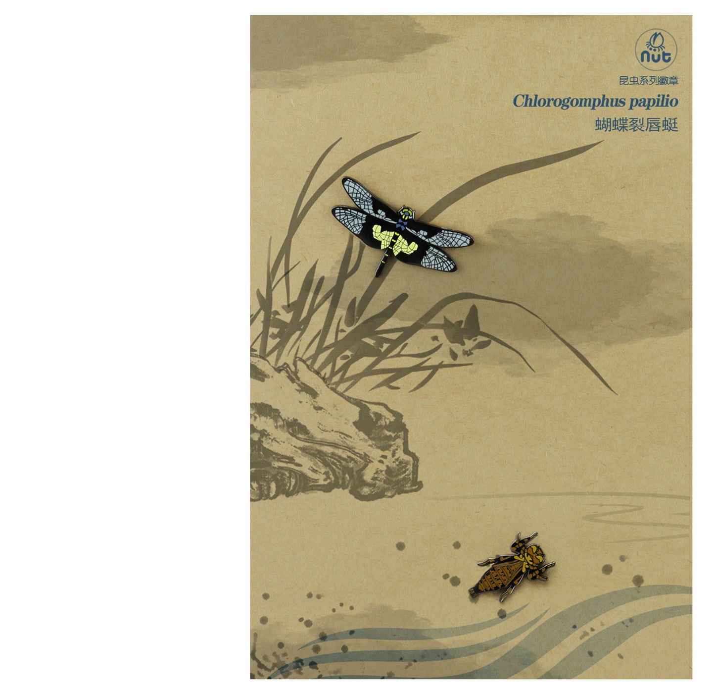 Insect Badge Chlorogomphus papilio