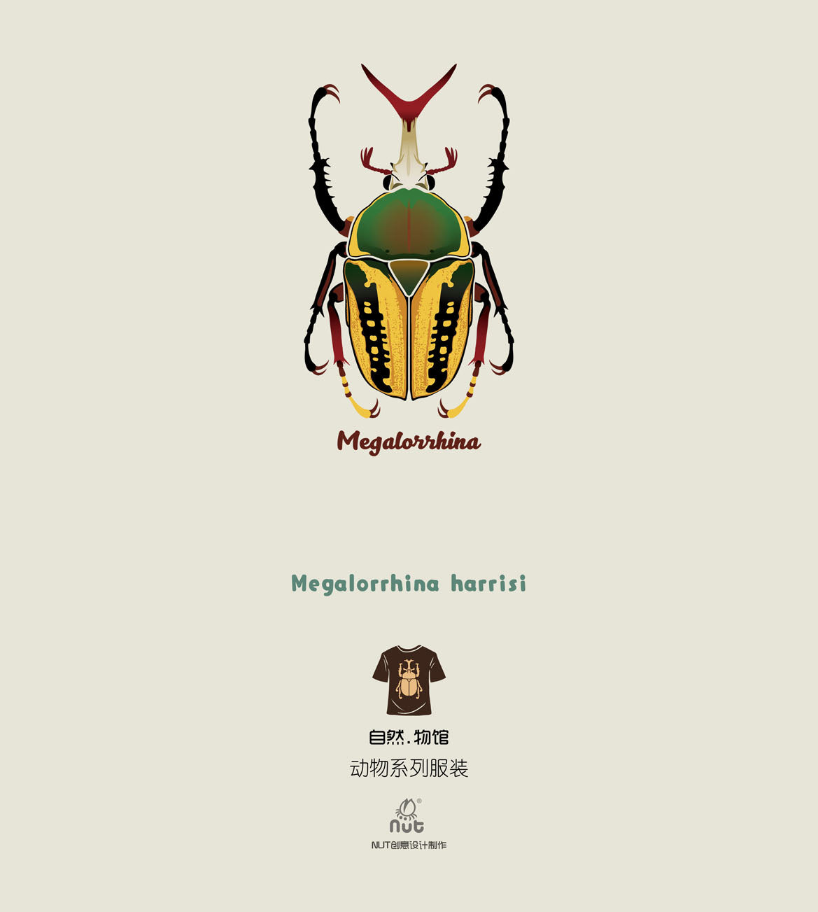 T-shirt Megalorrhina harrisi