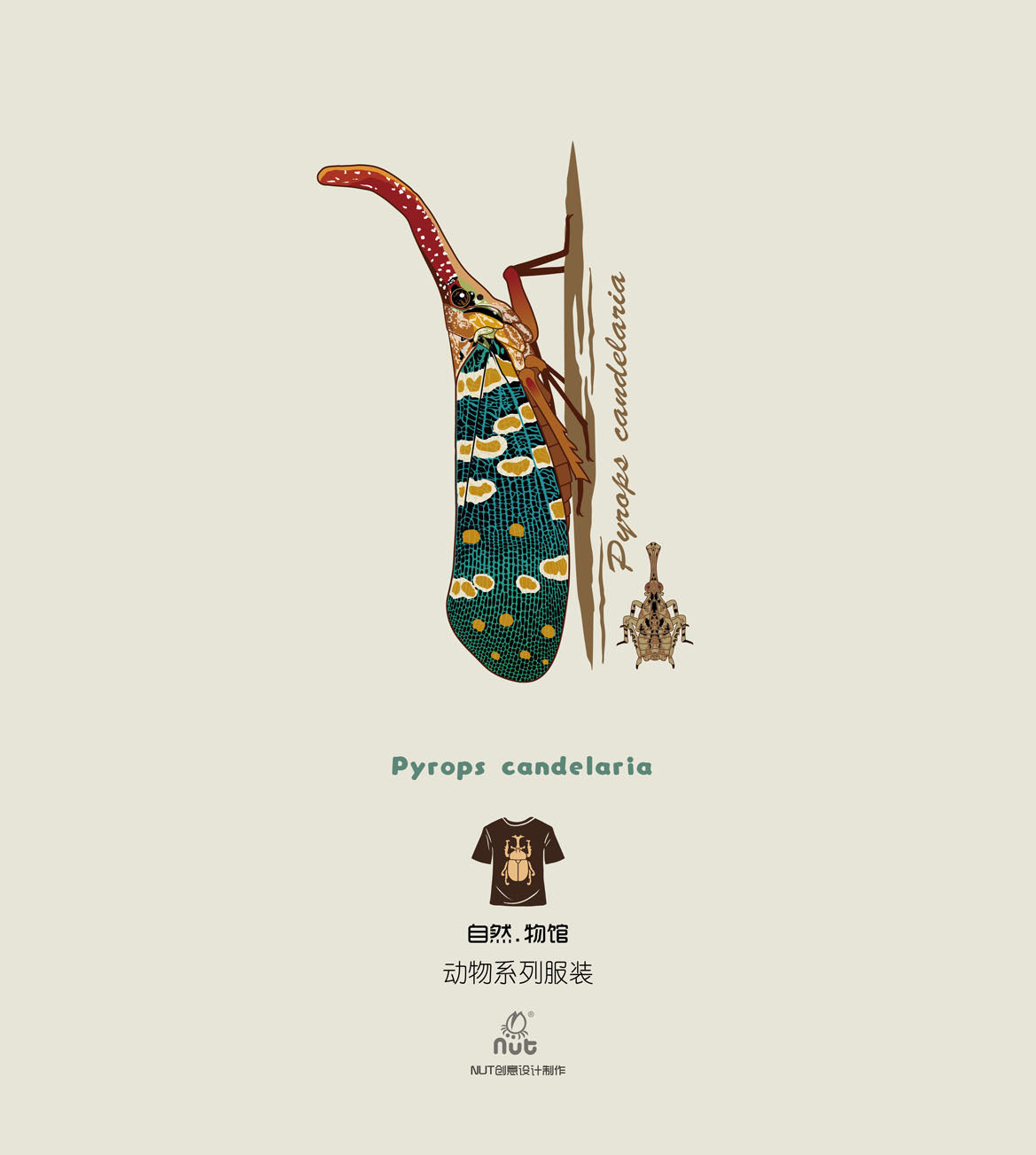 T-shirt Pyrops candelaria