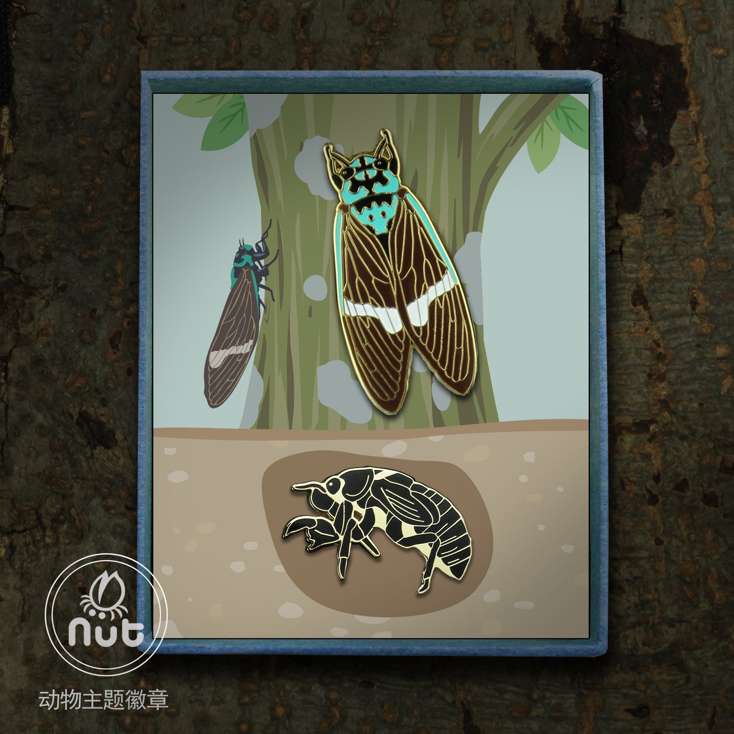 Insect Badge Formotosena seebohmi