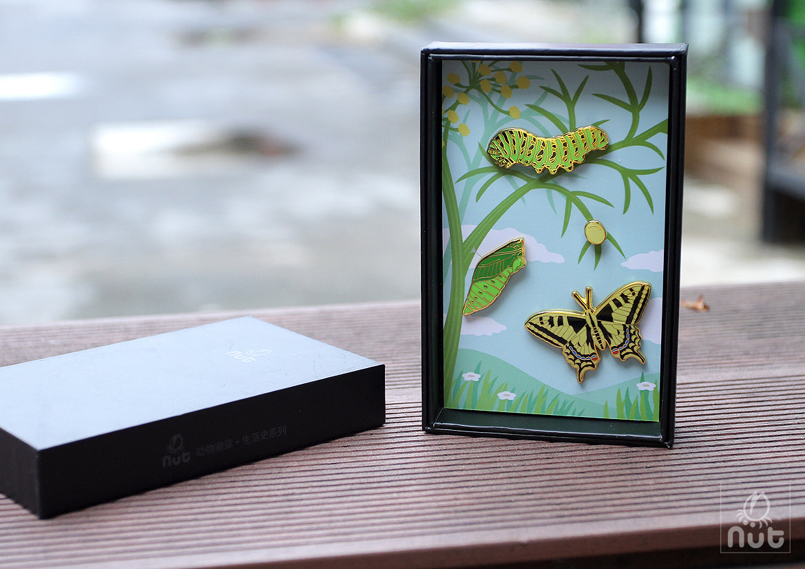 Insect Badge Papilio machaon “Golden butterfly”