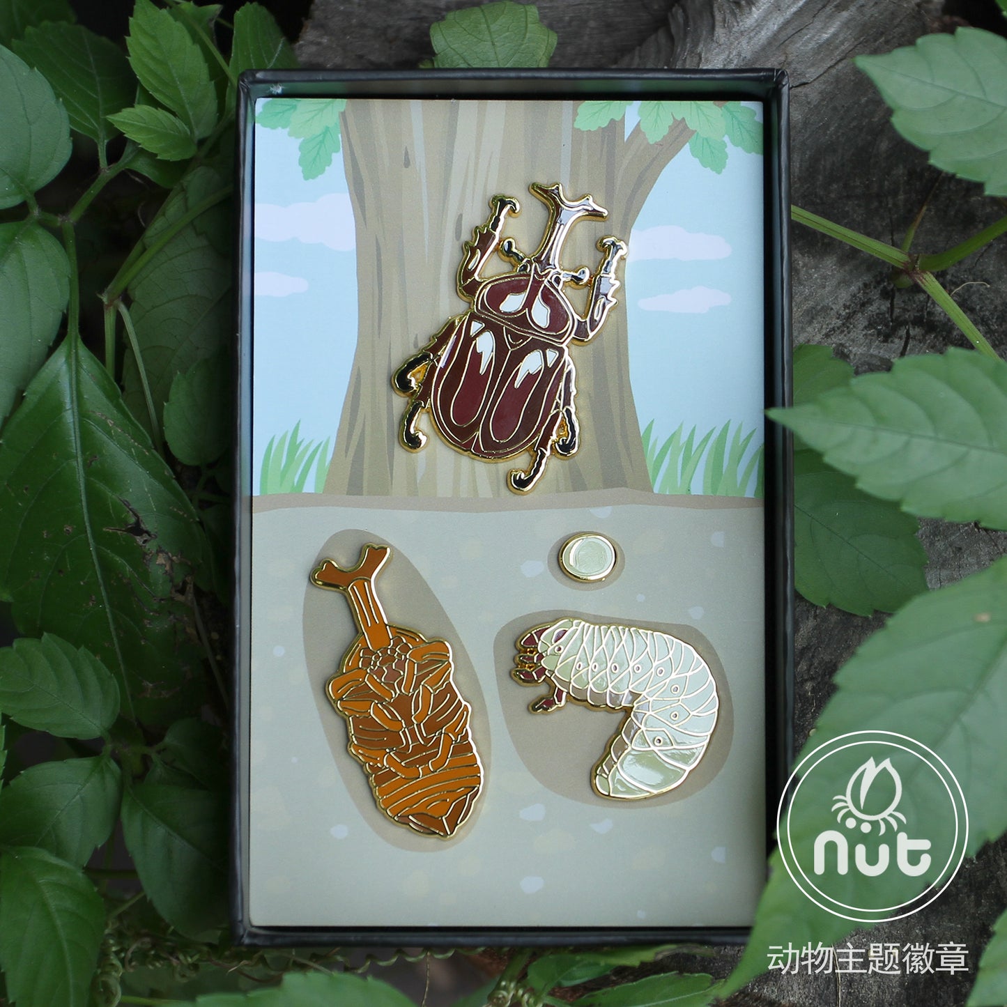 Insect Badge Allomyrina dichotoma “rhinoceros beetles”