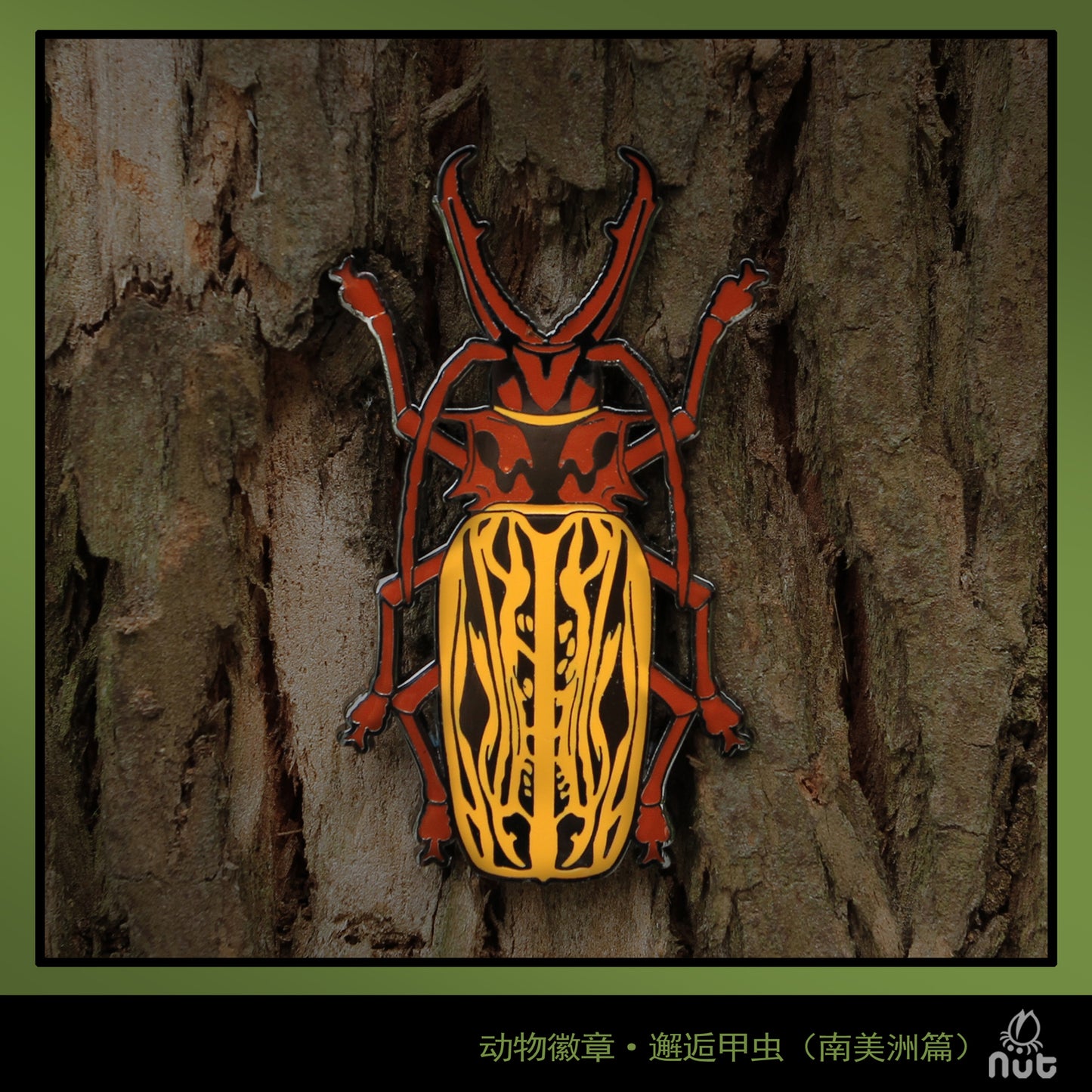 Insect Badge Macrodontia cervicornis “Long-toothed Longhorn”