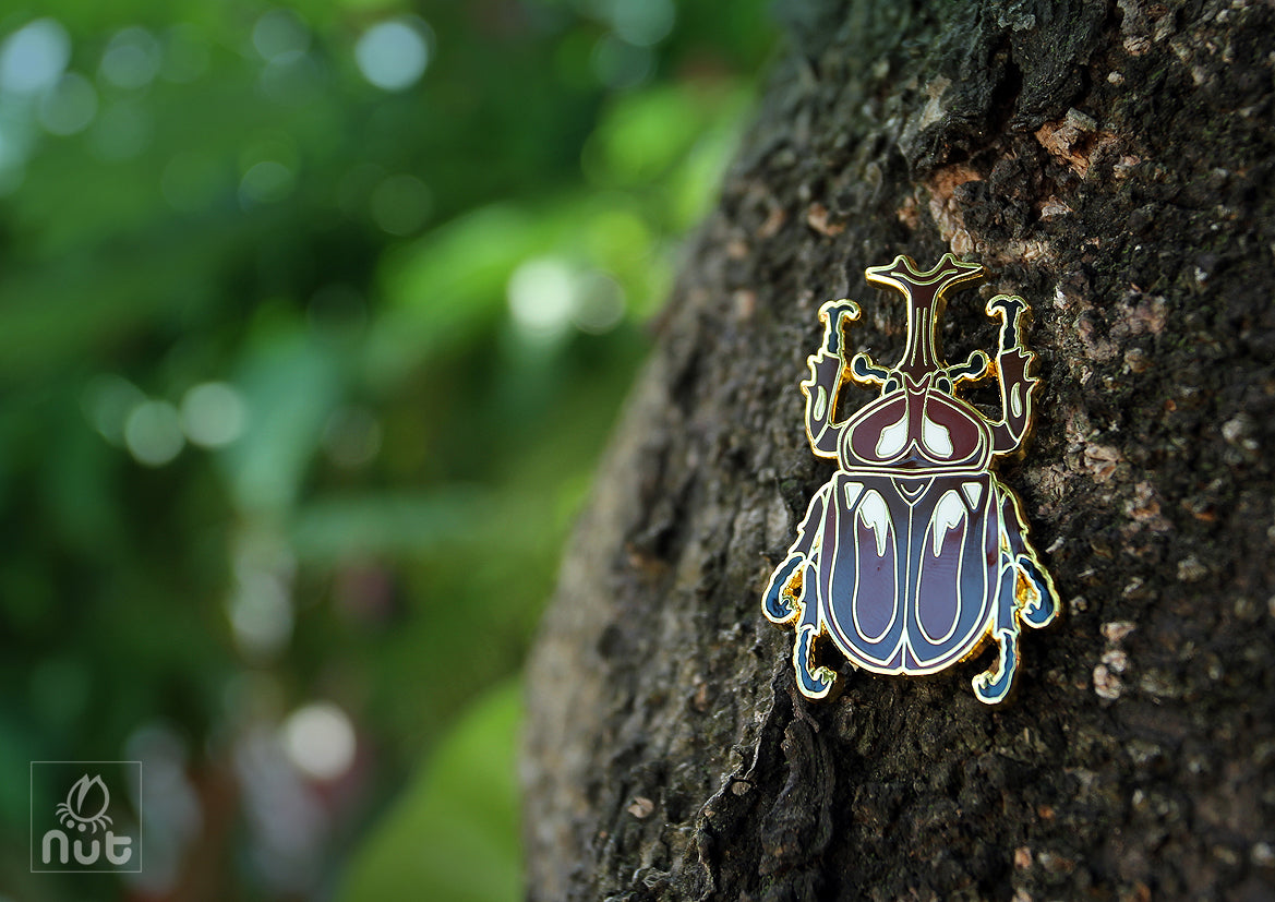 Insect Badge Allomyrina dichotoma “rhinoceros beetles”