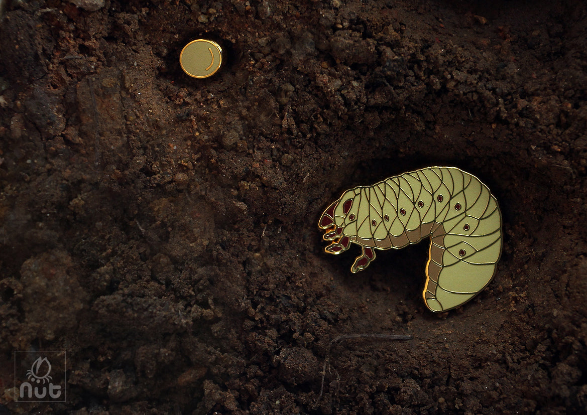 Insect Badge Allomyrina dichotoma “rhinoceros beetles”
