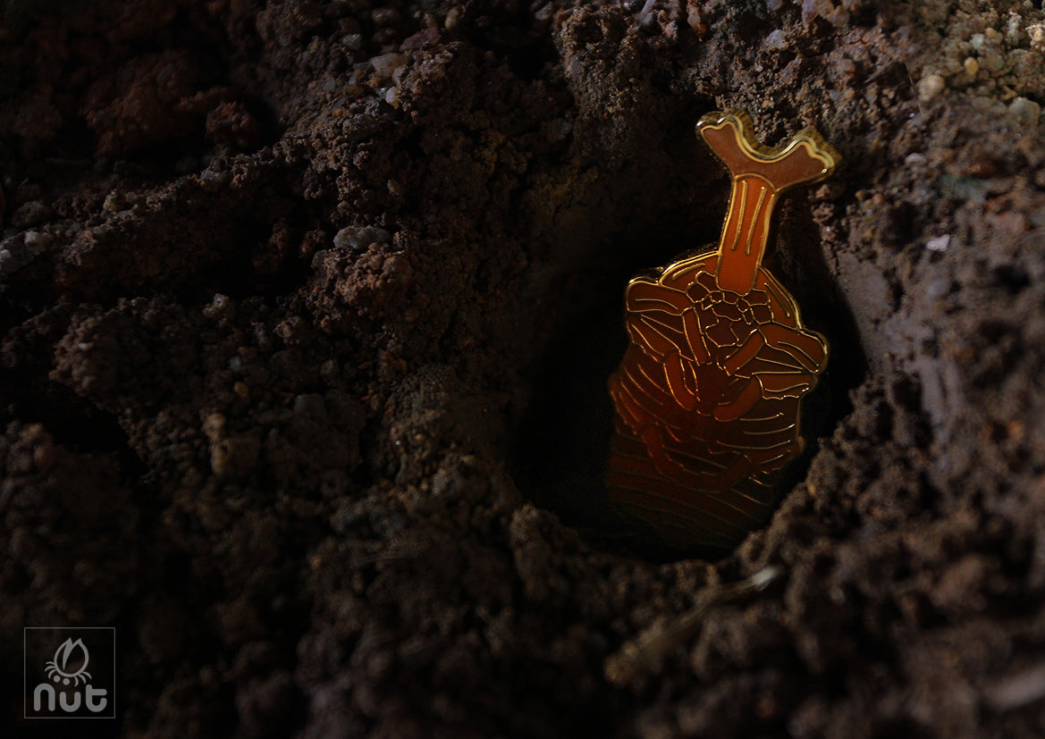 Insect Badge Allomyrina dichotoma “rhinoceros beetles”