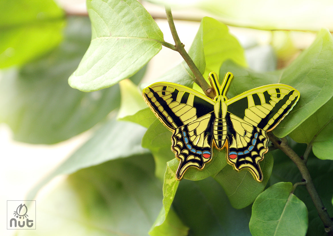 Insect Badge Papilio machaon “Golden butterfly”