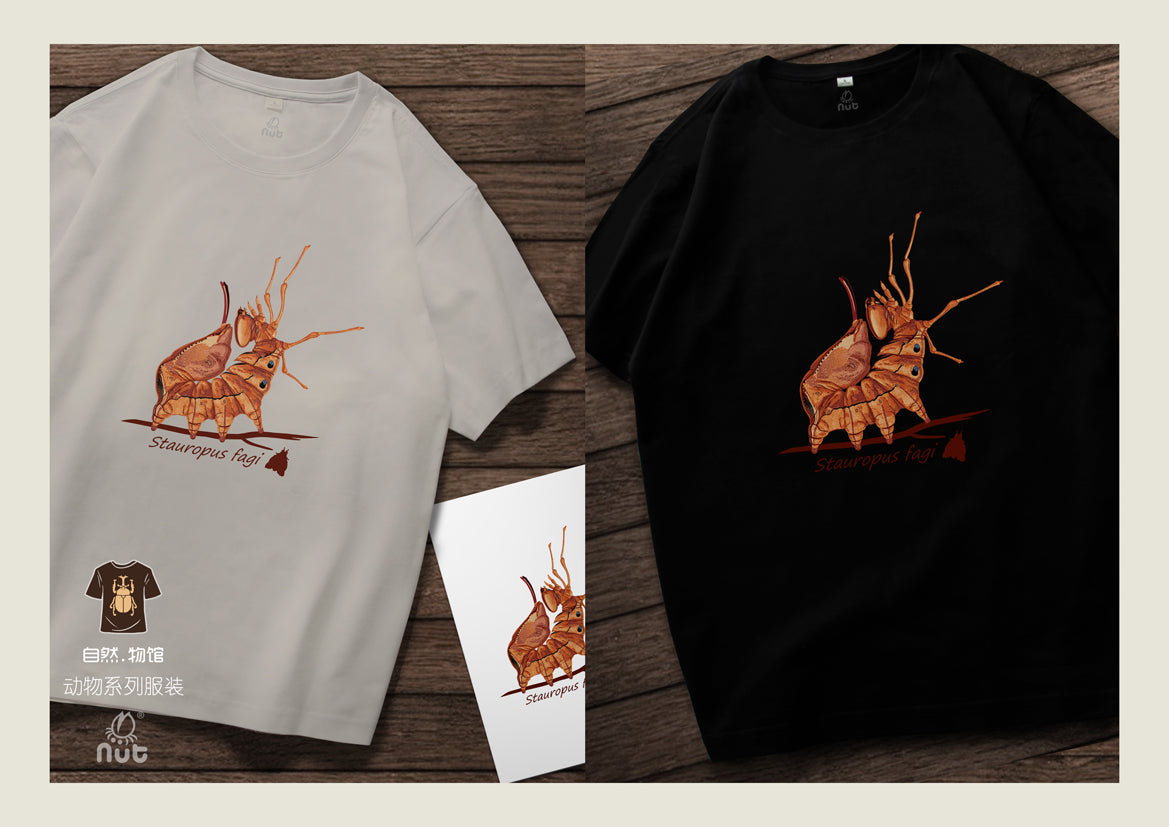 T-shirt Stauropus fagi