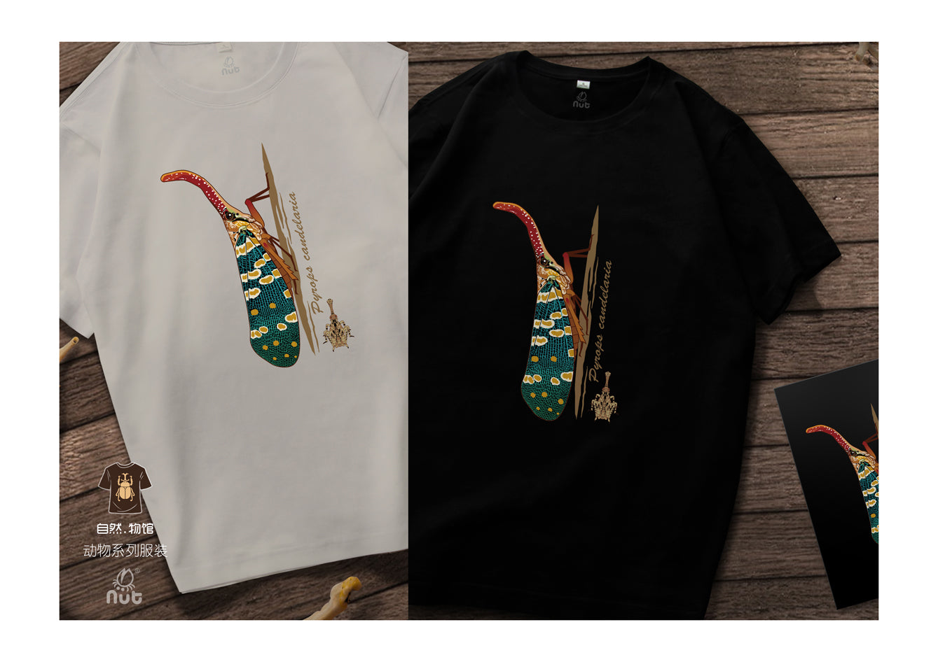 T-shirt Pyrops candelaria