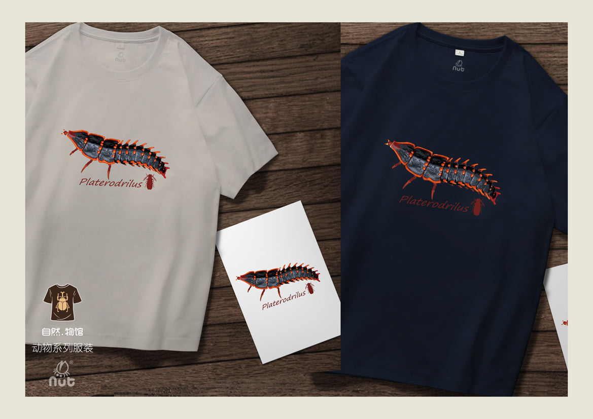 T-shirt Platerodrilus paradoxus