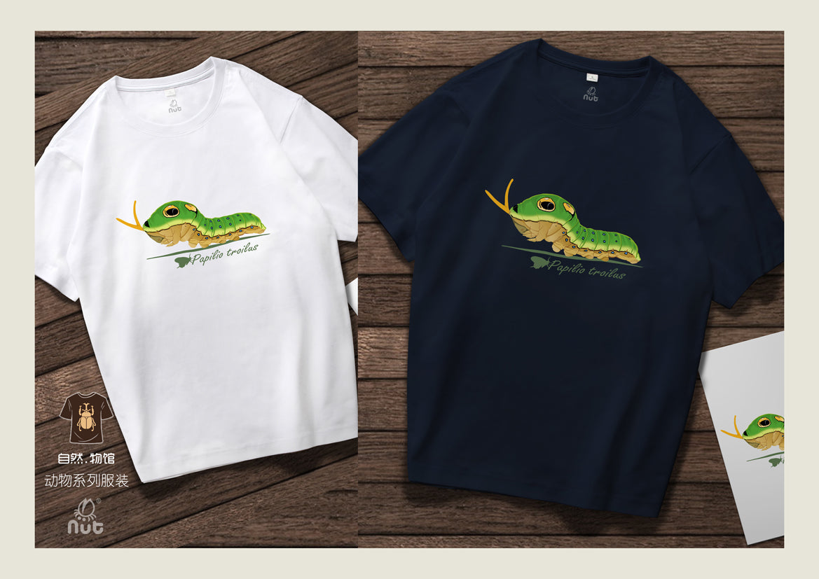 T-shirt Papilio troilus
