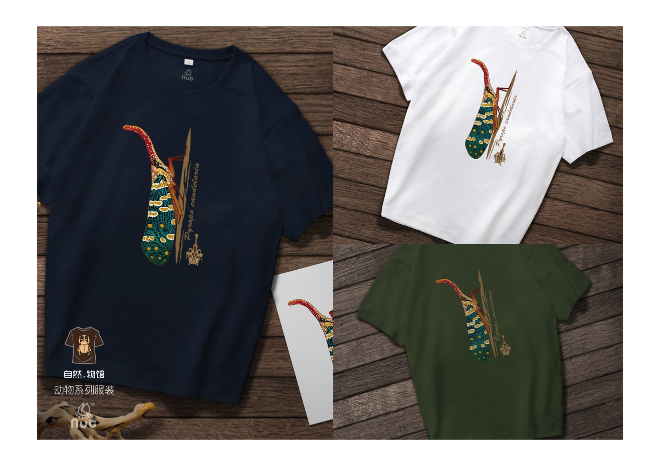 T-shirt Pyrops candelaria