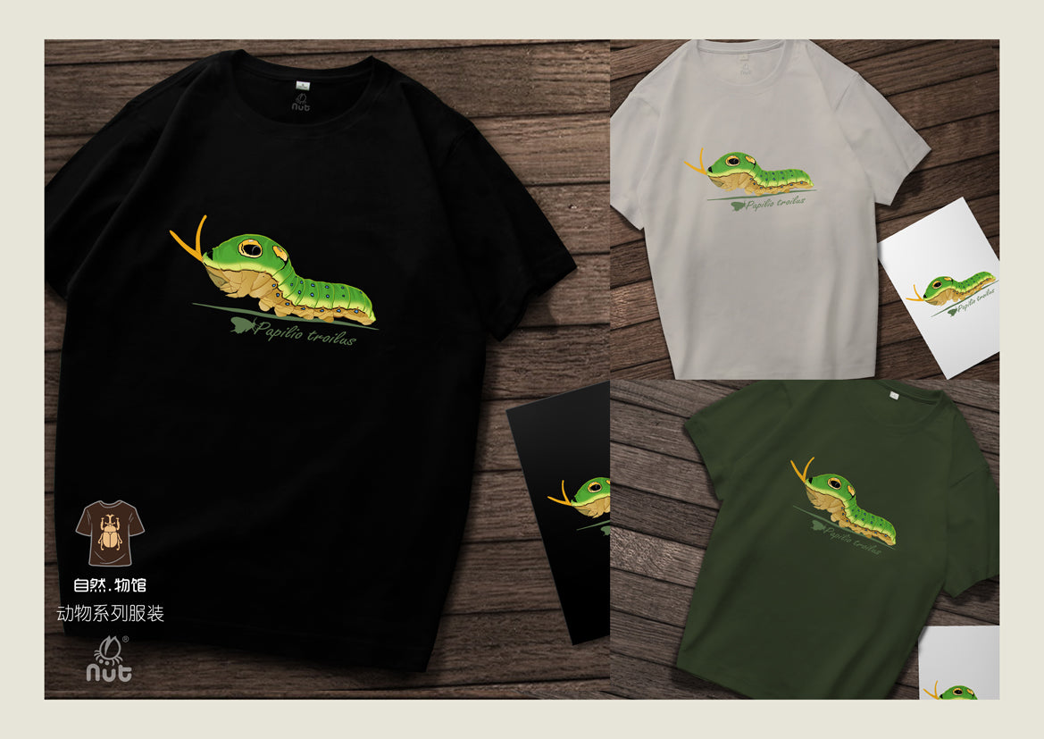 T-shirt Papilio troilus