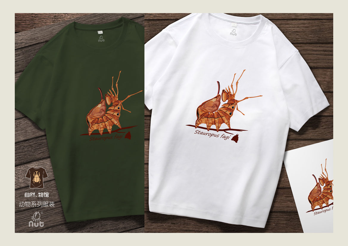 T-shirt Stauropus fagi