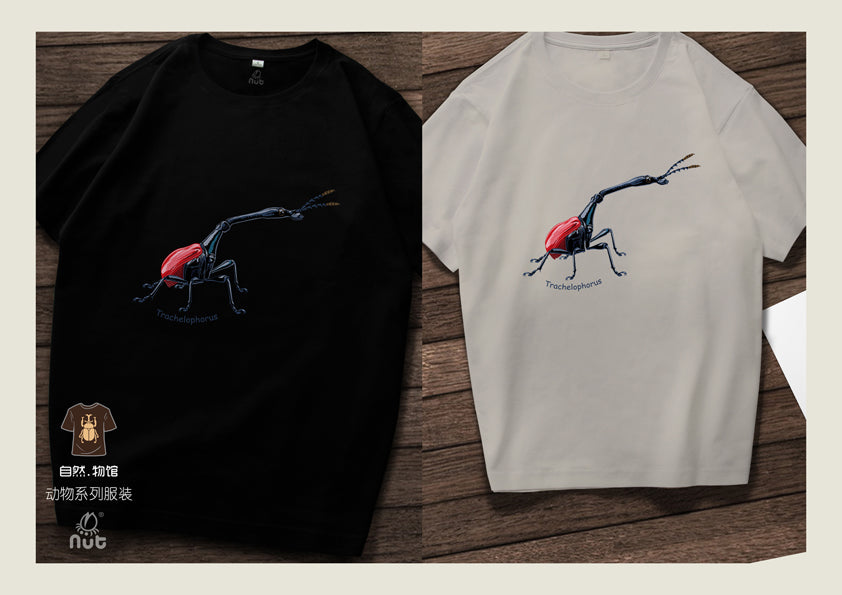 T-shirt Trachelophorus