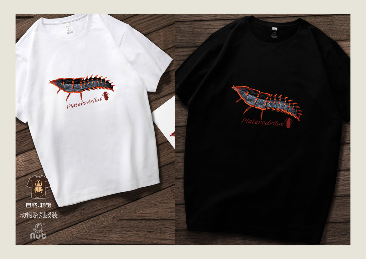 T-shirt Platerodrilus paradoxus