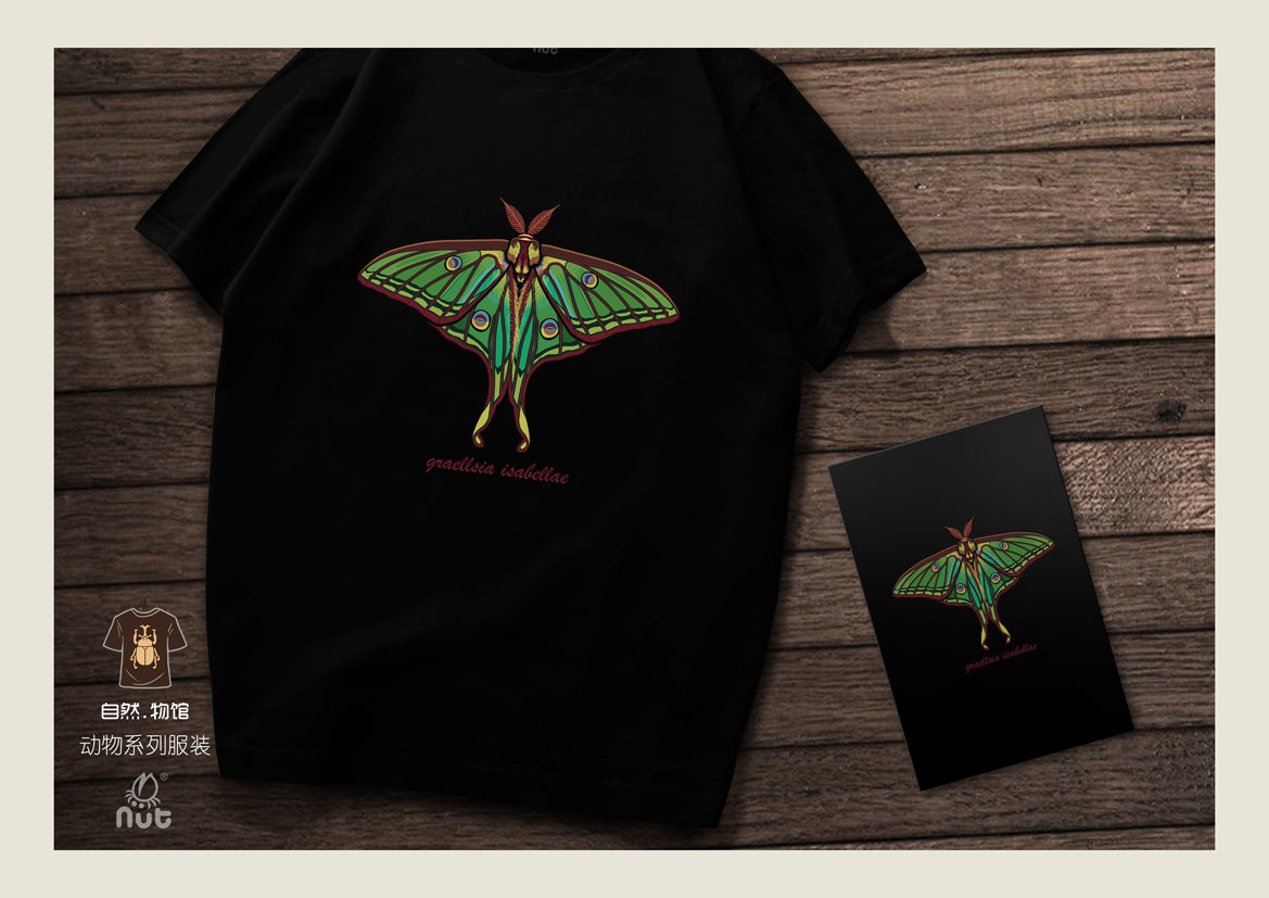 T-shirt Graellsia isabellae