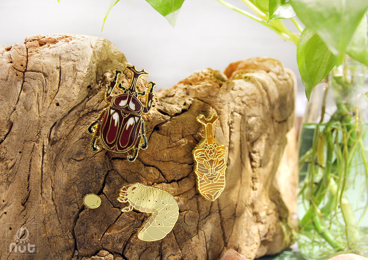 Insect Badge Allomyrina dichotoma “rhinoceros beetles”