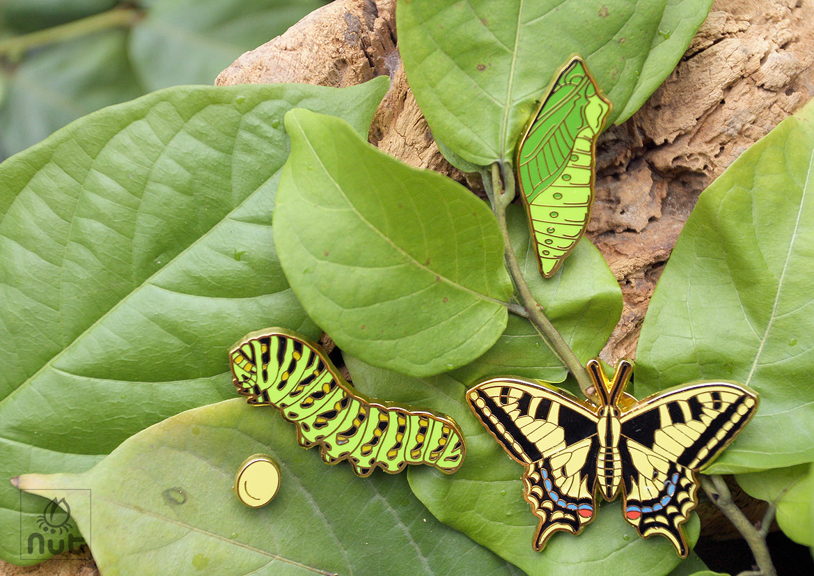 Insect Badge Papilio machaon “Golden butterfly”
