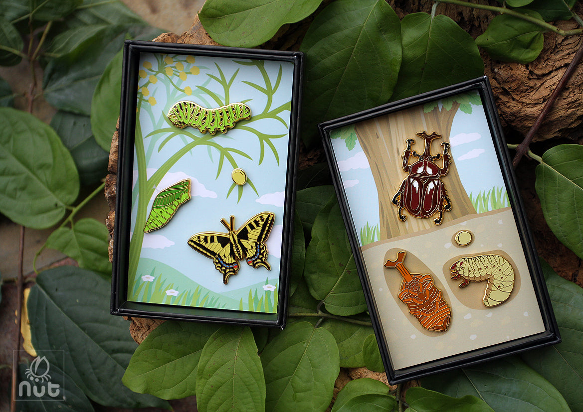 Insect Badge Papilio machaon “Golden butterfly”