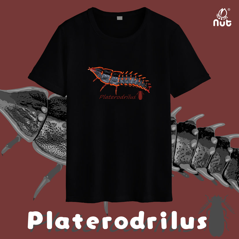T-shirt Platerodrilus paradoxus