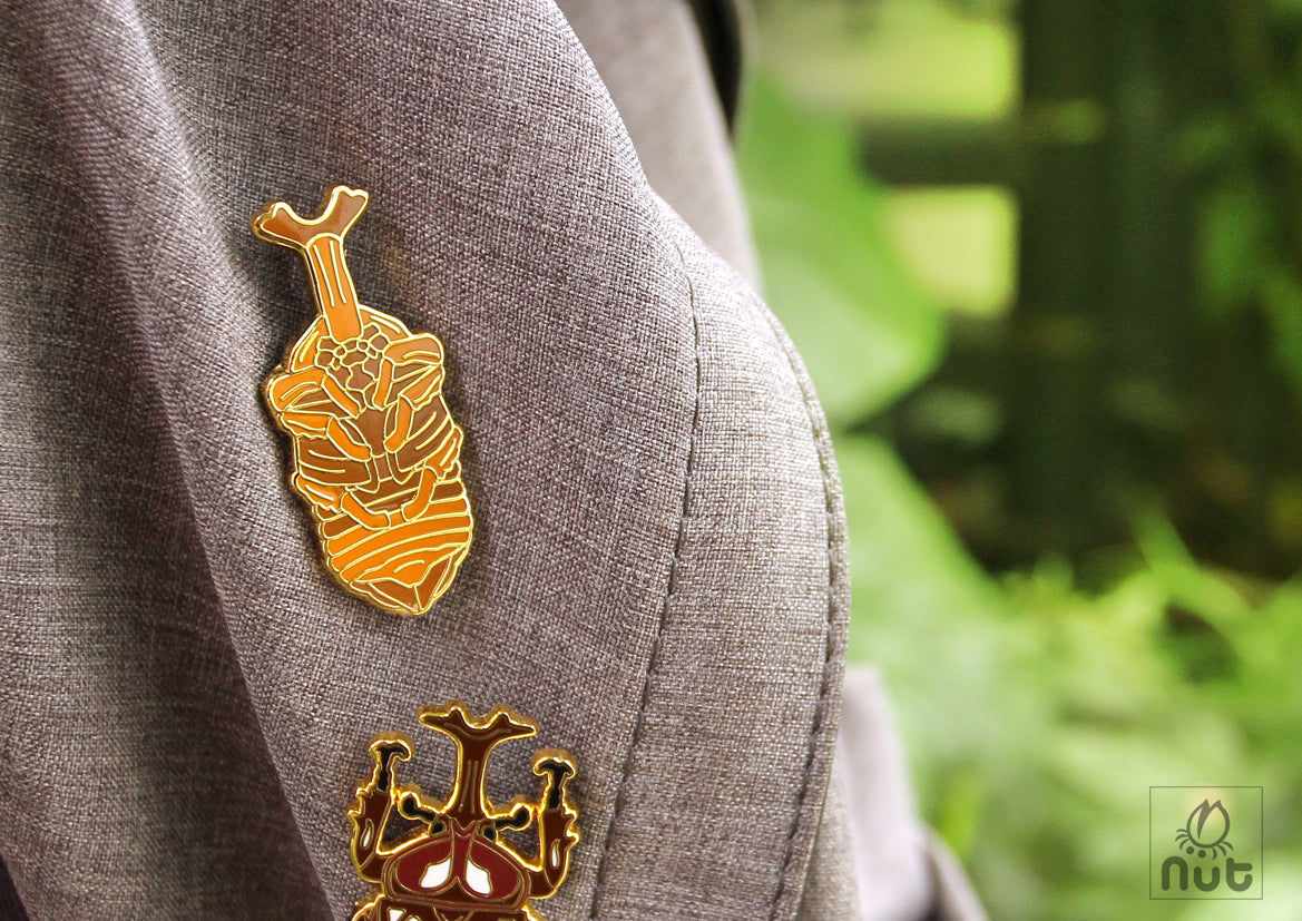 Insect Badge Allomyrina dichotoma “rhinoceros beetles”