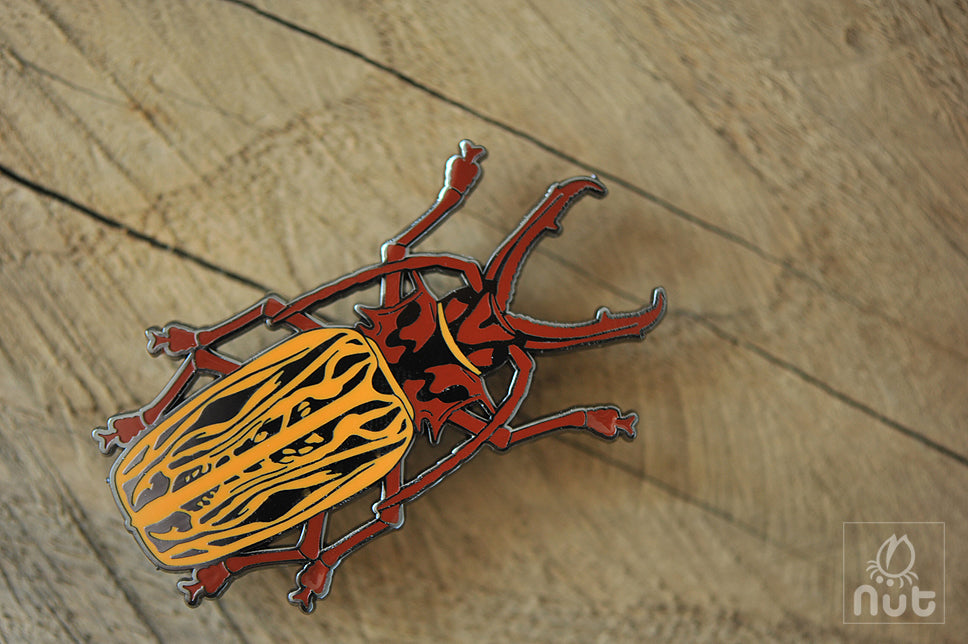 Insect Badge Macrodontia cervicornis “Long-toothed Longhorn”