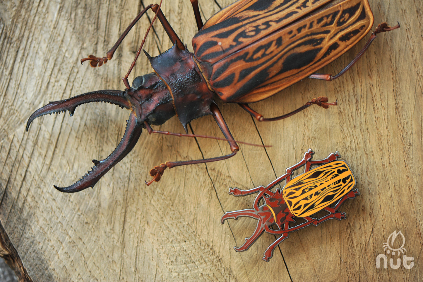 Insect Badge Macrodontia cervicornis “Long-toothed Longhorn”