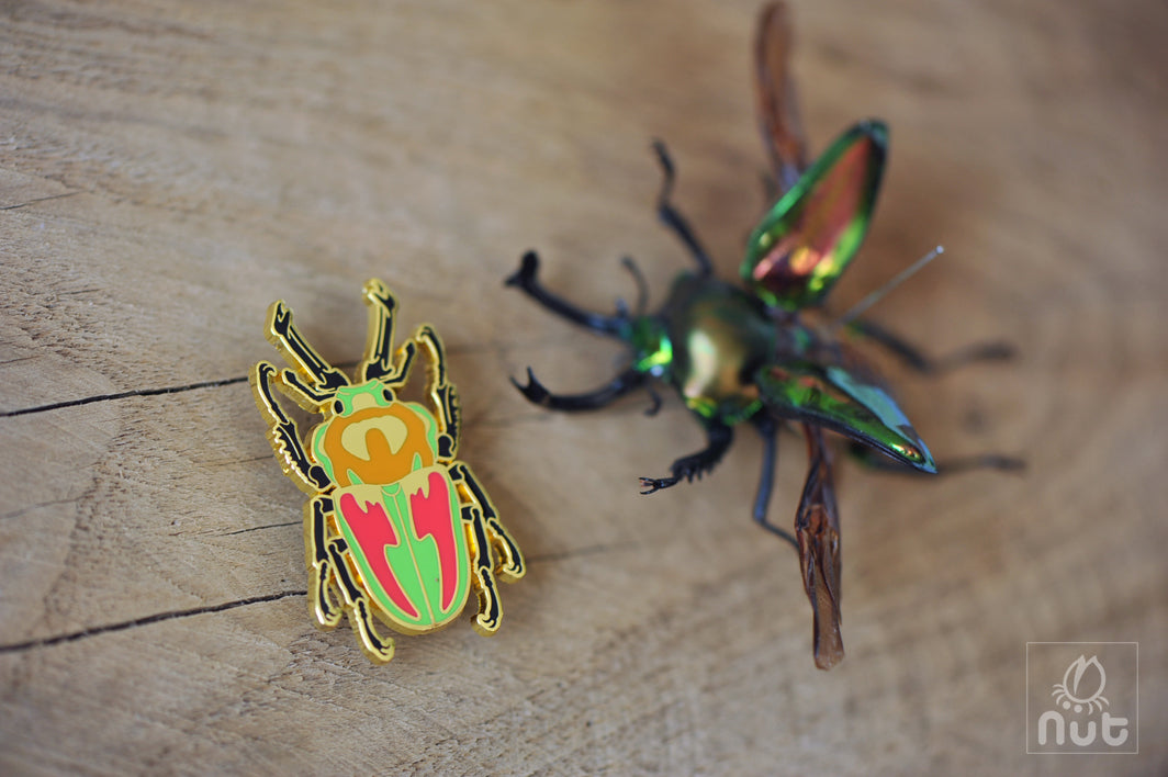 Insect Badge Phalacrognathus mulleri “Rainbow beetle”