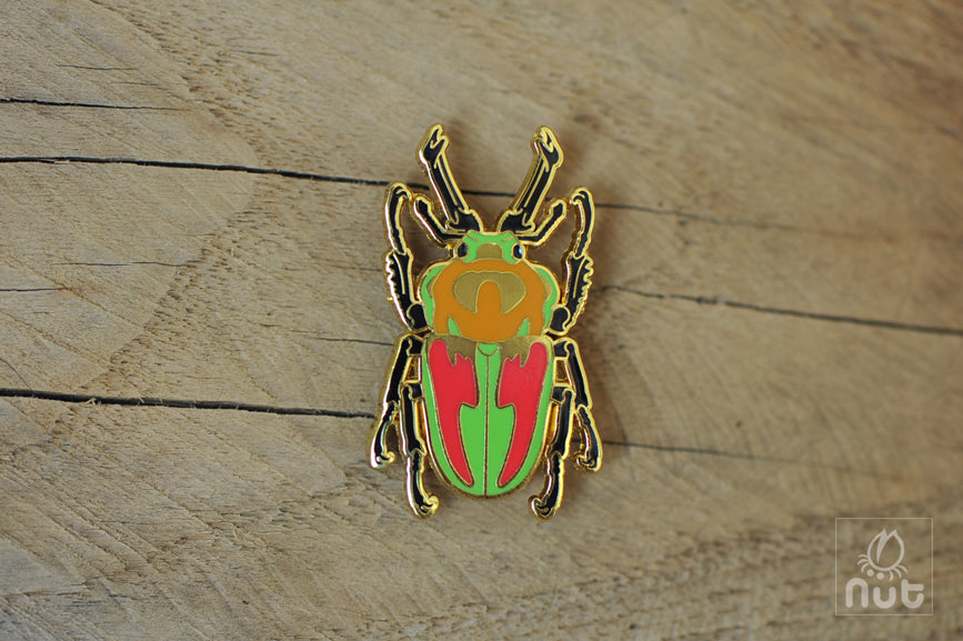 Insect Badge Phalacrognathus mulleri “Rainbow beetle”