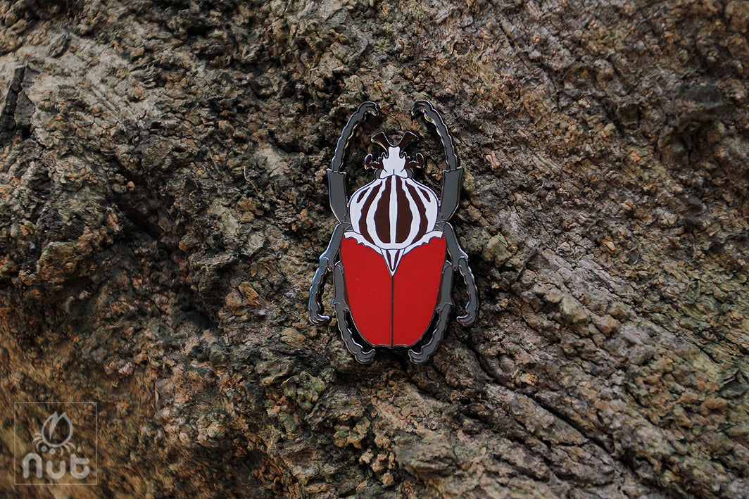 Insect Badge Goliathus goliatus