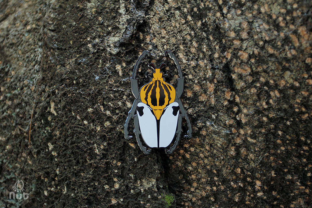 Insect Badge Goliathus goliatus