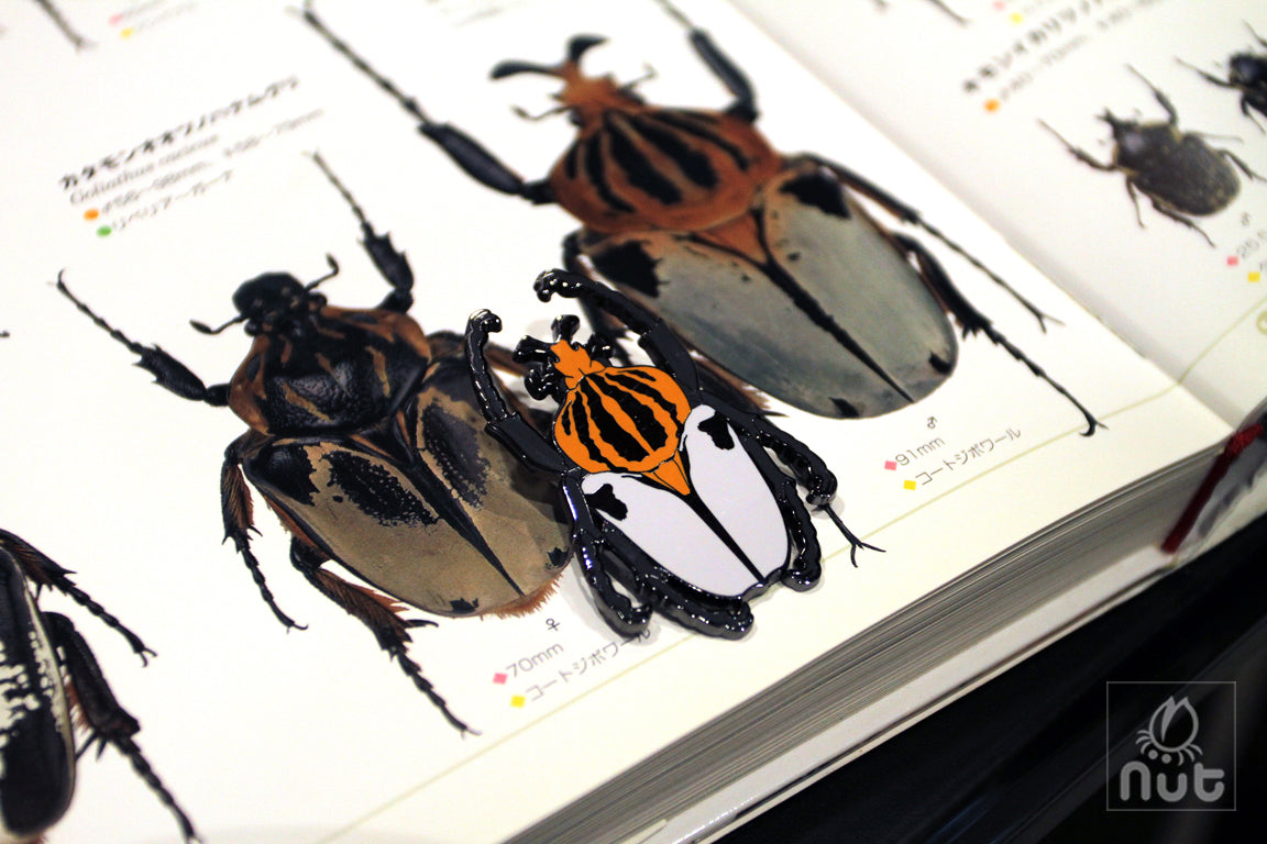 Insect Badge Goliathus goliatus