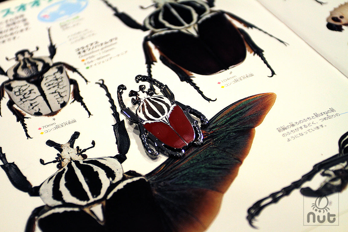 Insect Badge Goliathus goliatus