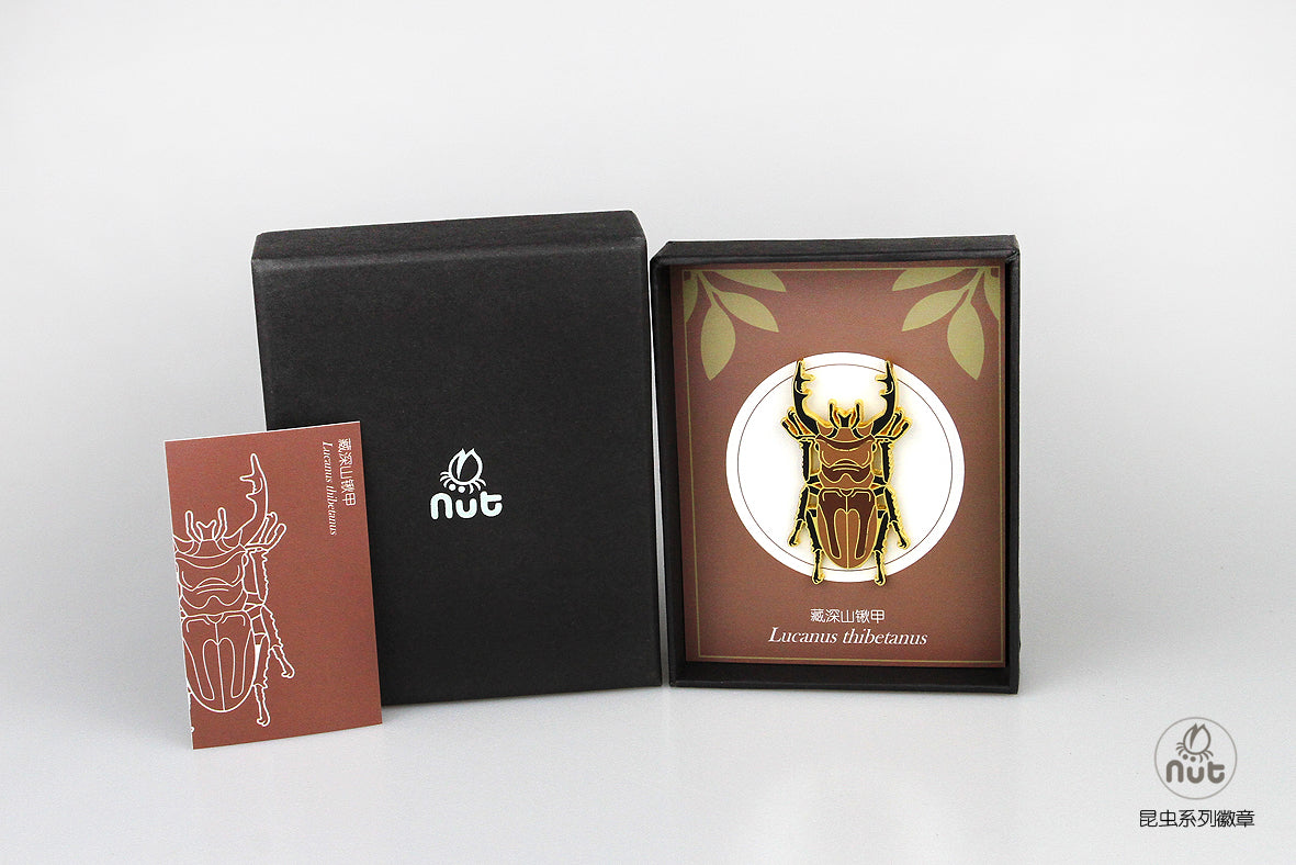 Insect Badge “Chinese Beetle Series Ⅱ”