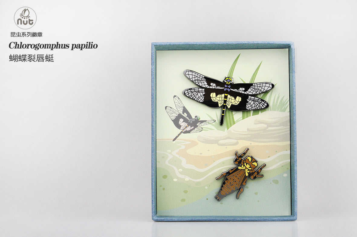 Insect Badge Chlorogomphus papilio