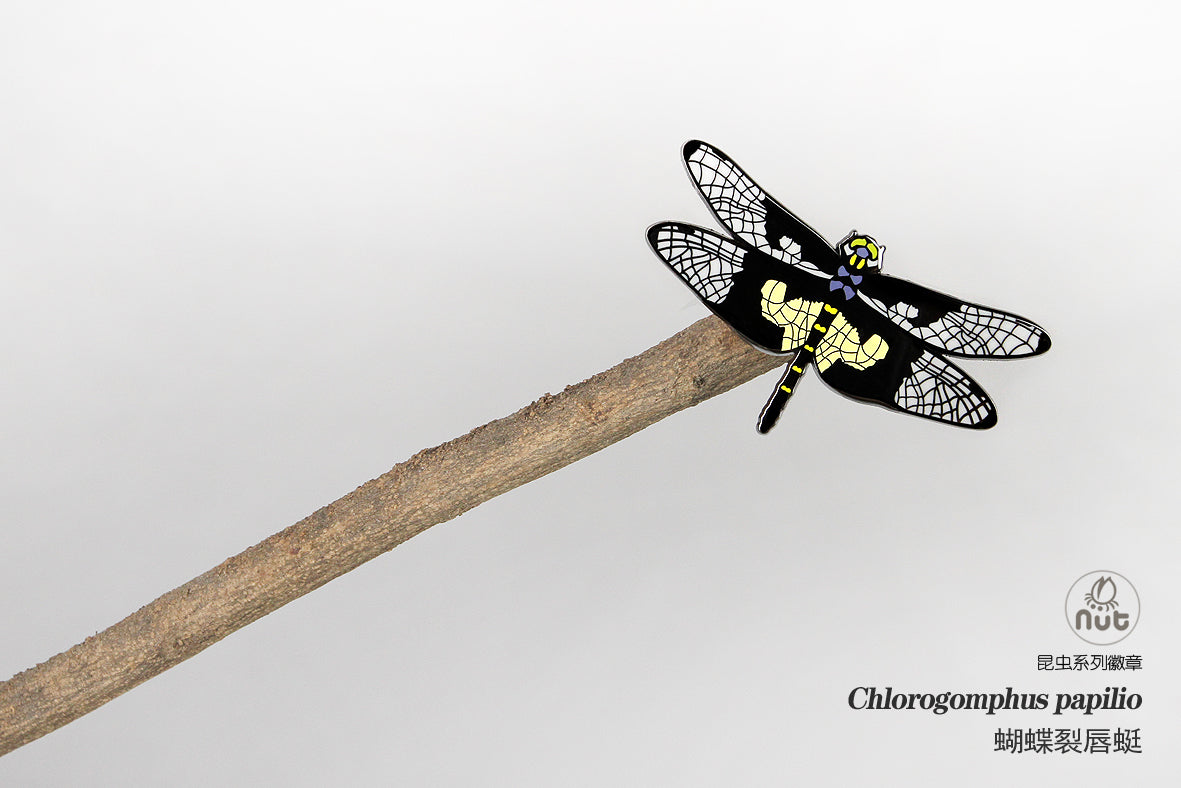 Insect Badge Chlorogomphus papilio