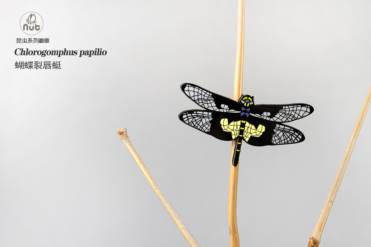 Insect Badge Chlorogomphus papilio